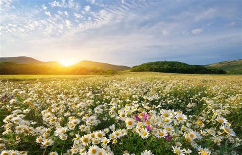 Le rythme circadien dans l’alimentation