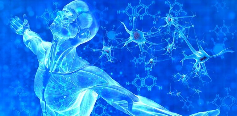 Lire la suite à propos de l’article Réinformer ses cellules à travers l’hypnose