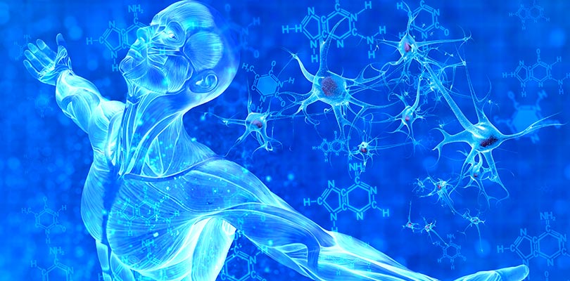 Réinformer ses cellules à travers l’hypnose