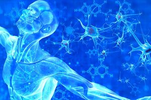 Réinformer ses cellules à travers l’hypnose